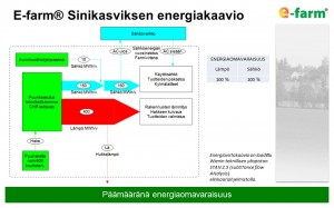 E-farm Sinikasviksen energiakaavio